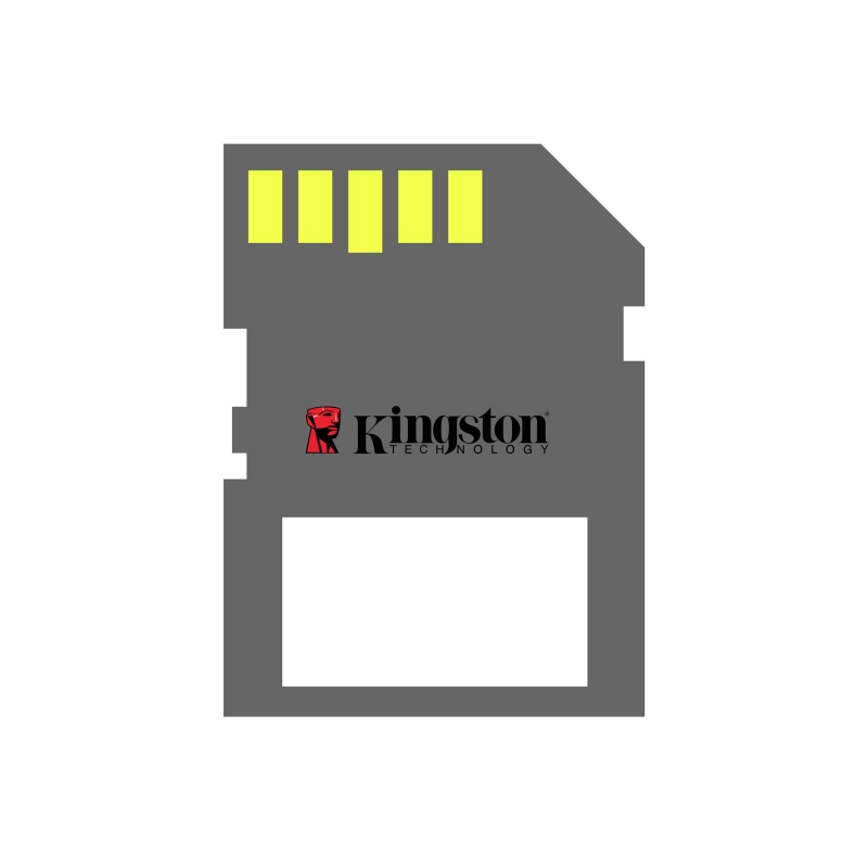 KINGSTON MICRO SD